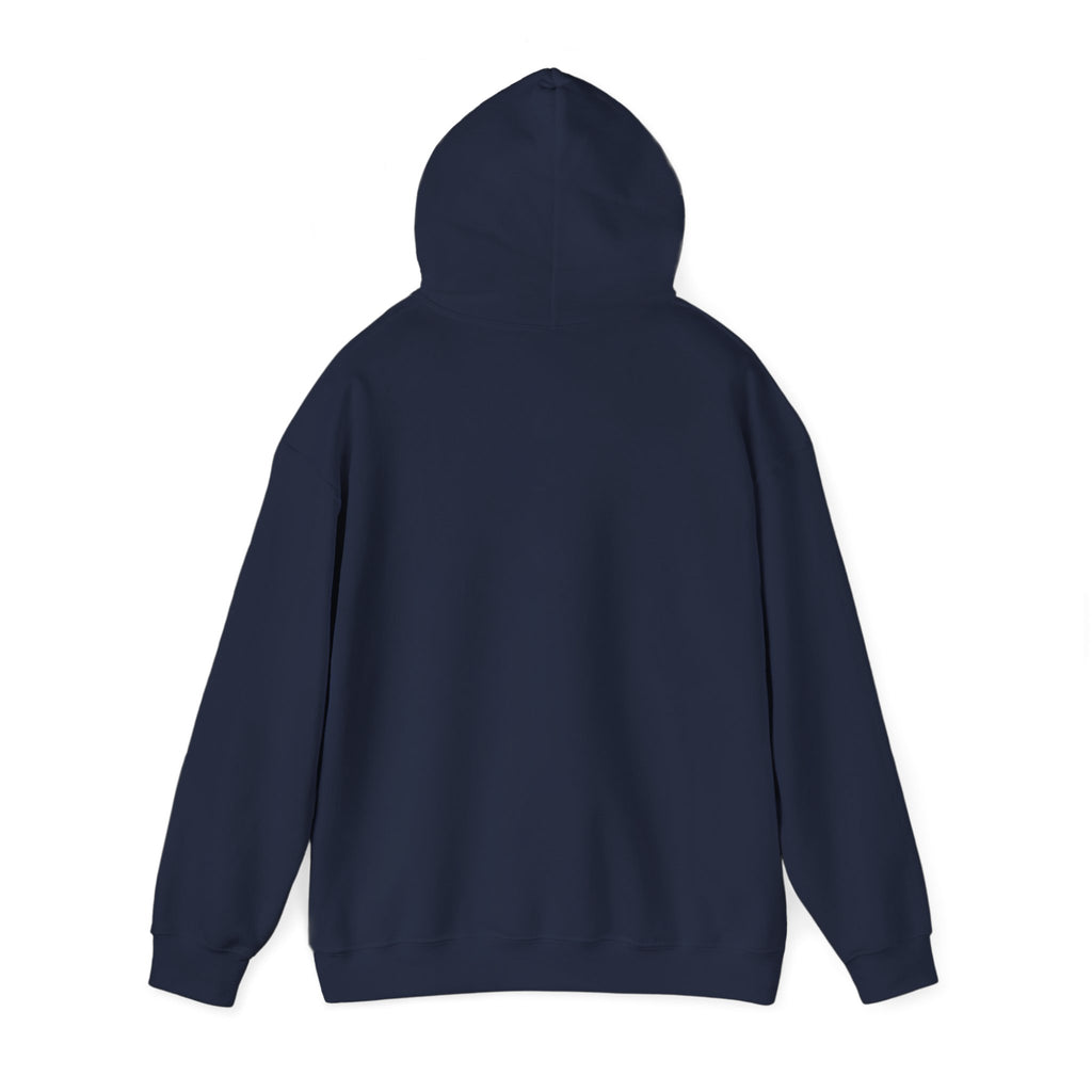 Faith & Freedom Patriotic Hoodie | Faith-based July 4th, Vintage Americana