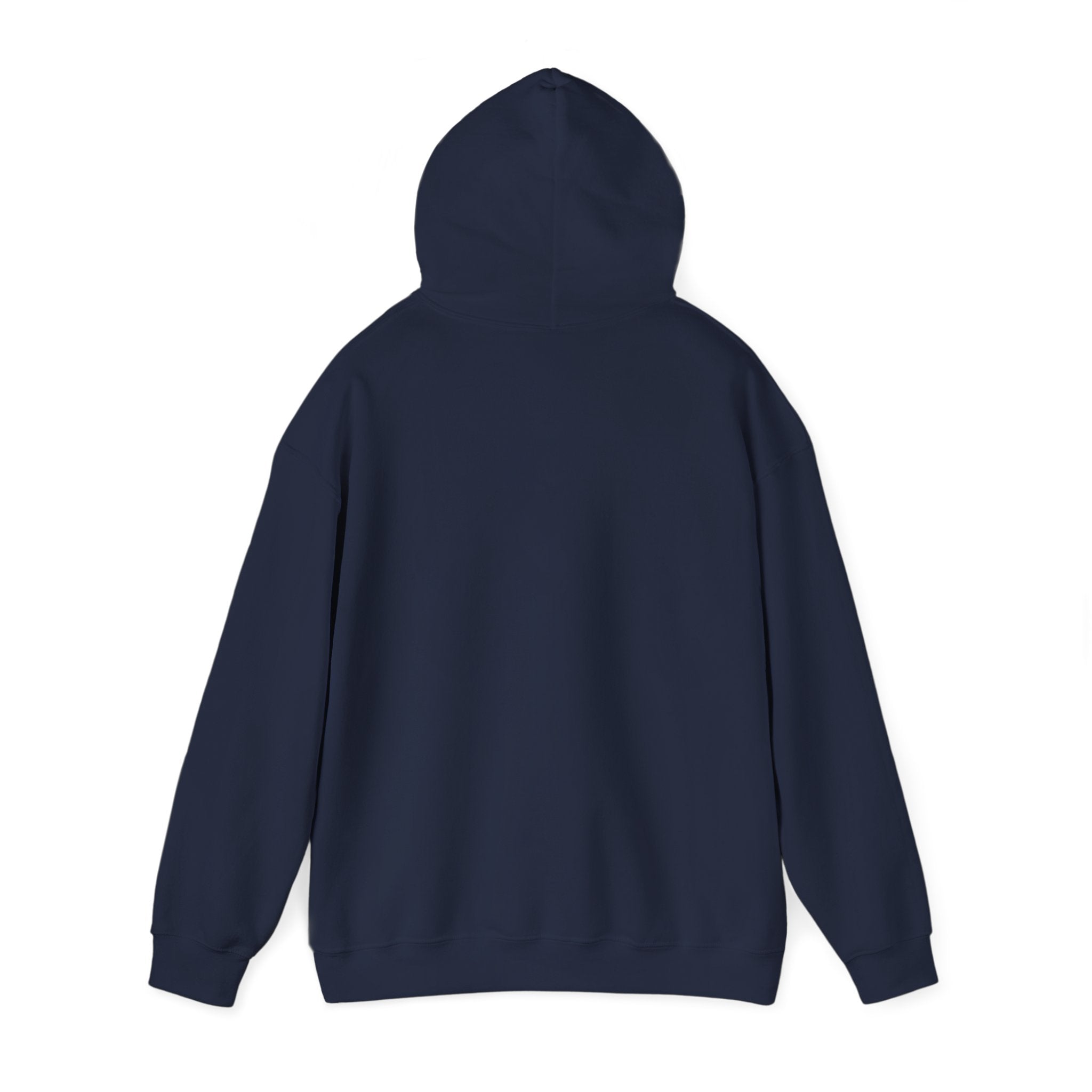 Faith & Freedom Patriotic Hoodie | Faith-based July 4th, Vintage Americana